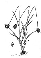 J1580.jpg J1580.jpg