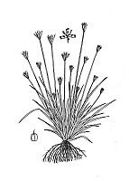 J1589.jpg J1589.jpg