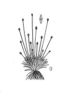 J1591.jpg J1591.jpg