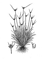 J1594.jpg J1594.jpg
