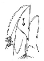 J1611.jpg J1611.jpg