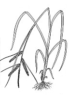 J1614.jpg J1614.jpg