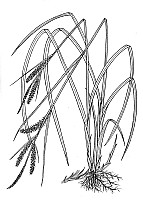 J1624.jpg J1624.jpg