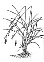 J1631.jpg J1631.jpg