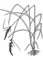 J1634.jpg J1634.jpg