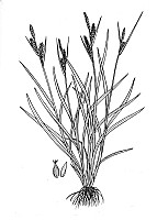 J1635.jpg J1635.jpg