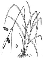 J1639.jpg J1639.jpg