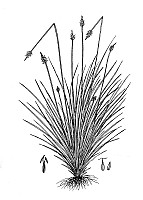J1645.jpg J1645.jpg