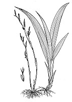 J1658.jpg J1658.jpg