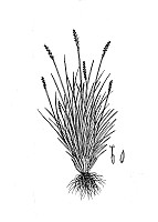 J1667.jpg J1667.jpg