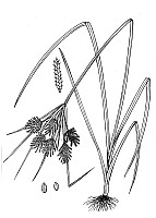 J1668.jpg J1668.jpg