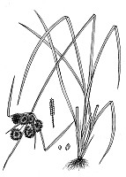 J1669.jpg J1669.jpg