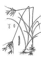 J1676.jpg J1676.jpg