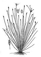 J1679.jpg J1679.jpg