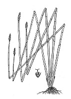 J1680.jpg J1680.jpg