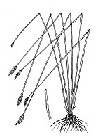 J1684.jpg J1684.jpg