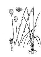 J1689.jpg J1689.jpg