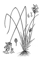 J1694.jpg J1694.jpg