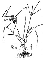 J1697.jpg J1697.jpg