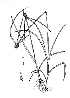 J1699.jpg J1699.jpg