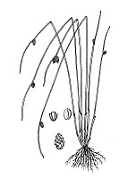 J1704.jpg J1704.jpg