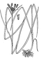 J1706.jpg J1706.jpg