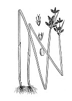J1709.jpg J1709.jpg