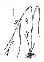 J1712.jpg J1712.jpg