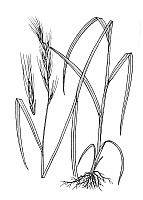 J1716.jpg J1716.jpg