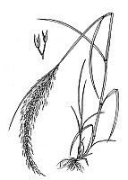 J1721.jpg J1721.jpg