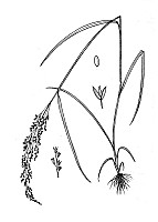 J1722.jpg J1722.jpg