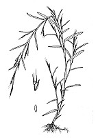J1725.jpg J1725.jpg