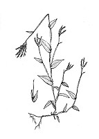J1728.jpg J1728.jpg