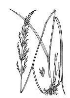 J1732.jpg J1732.jpg
