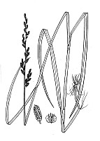 J1735.jpg J1735.jpg