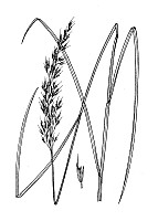 J1739.jpg J1739.jpg