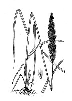 J1741.jpg J1741.jpg