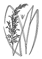 J1746.jpg J1746.jpg