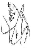 J1747.jpg J1747.jpg
