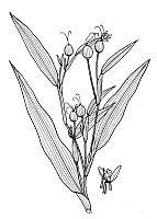 J1749.jpg J1749.jpg
