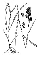 J1751.jpg J1751.jpg