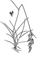 J1752.jpg J1752.jpg