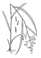 J1753.jpg J1753.jpg