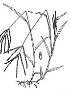J1755.jpg J1755.jpg
