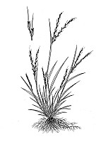 J1757.jpg J1757.jpg
