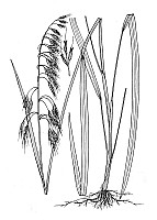 J1758.jpg J1758.jpg