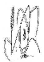 J1766.jpg J1766.jpg
