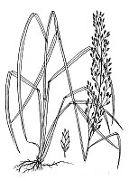 J1767.jpg J1767.jpg