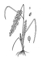 J1768.jpg J1768.jpg