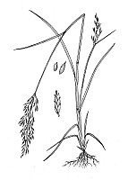 J1771.jpg J1771.jpg